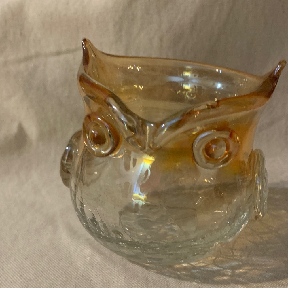 MCM Blenko Owl Vase or Crackle Glass Owl C Candle  Holer